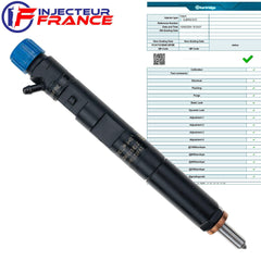 Injecteur Delphi EJBR02101Z Renault Dacia 1.5 dCi EJBR01701Z