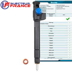 Delphi 9674984080 Injecteur Diesel pour Citroën Peugeot Ford