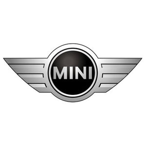 Injecteur Diesel Mini